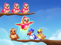 Birds Sort Color Match Puzzle free games